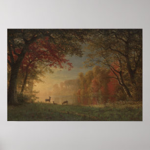 Indiska sunset Hjort av Sjö Poster