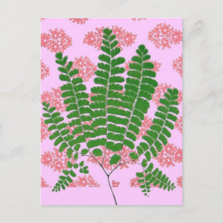 Indiska utskrifter Fern Pinks Vykort