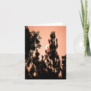 Indiska Valley-branden..... Kort