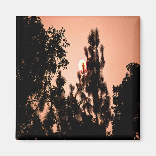 Indiska Valley-branden....... Magnet (Framsidan)