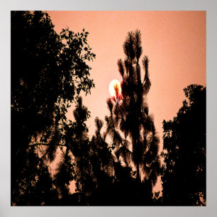 Indiska Valley-branden...... Poster