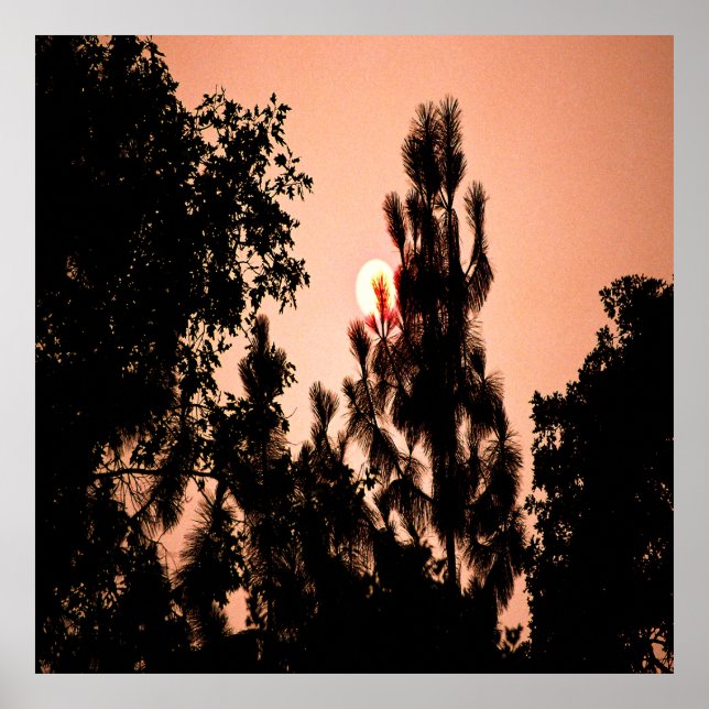 Indiska Valley-branden...... Poster (Framsidan)