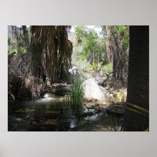 IndiskaCanyon (2) Poster (Framsidan)