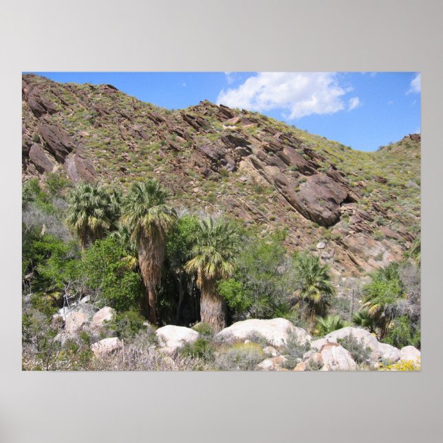 IndiskaCanyon (8) Poster (Framsidan)