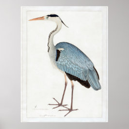 Indiskt Grått Heron (1780-1782) av Ram Das Poster