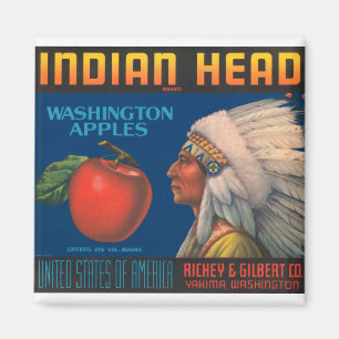 Indiskt huvud magnet