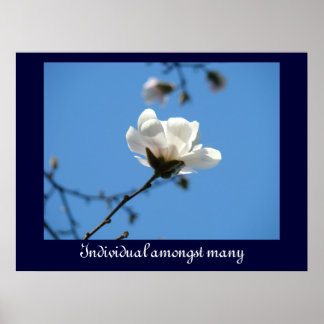 Individuell bland många konstverk White Magnolia Poster