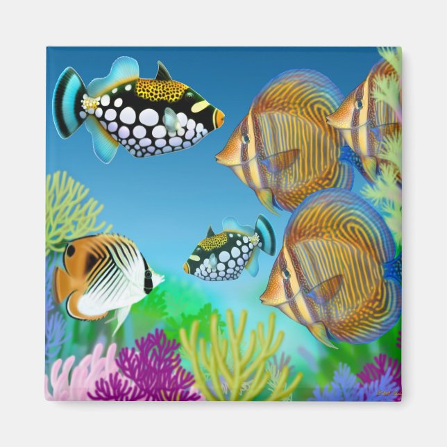Indo Pacific Reef Fish Magnet (Framsidan)