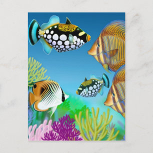 Indo Pacific Reef Fish Postcard Vykort