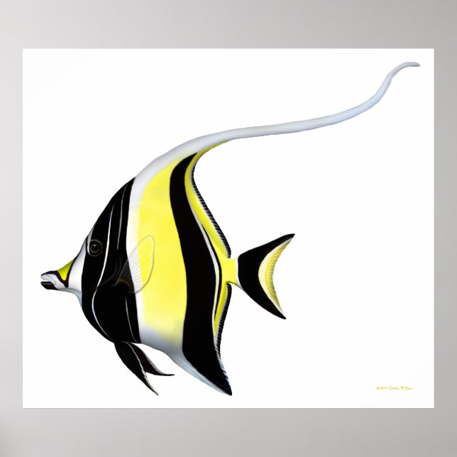 Indo Pacific Reef Moorish Idol Fish Poster (Framsidan)