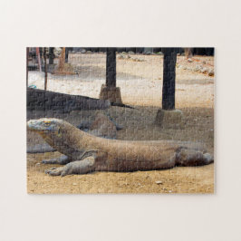 Indonesia Komodo Dragon National Park. Pussel