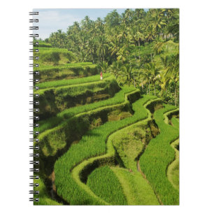 Indonesien, Bali Ris Anteckningsbok