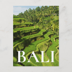 Indonesien, Bali  Ris Vykort