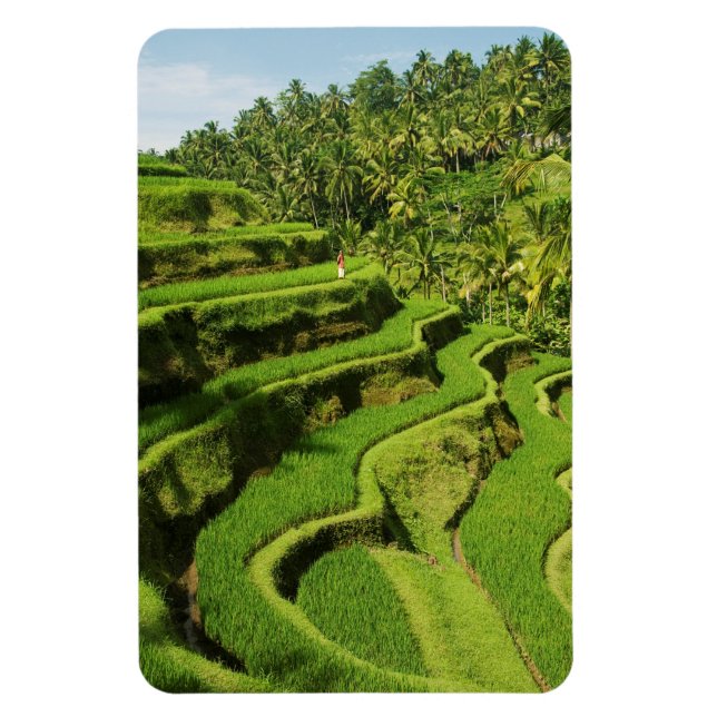 Indonesien, Bali | Risfält Magnet (Vertikal)