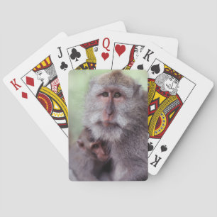 Indonesien, Bali, Ubud, Långstjärtad makak Casinokort