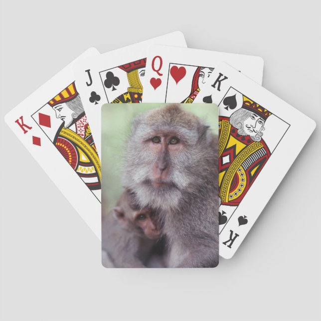 Indonesien, Bali, Ubud, Långstjärtad makak Casinokort (Baksidan)