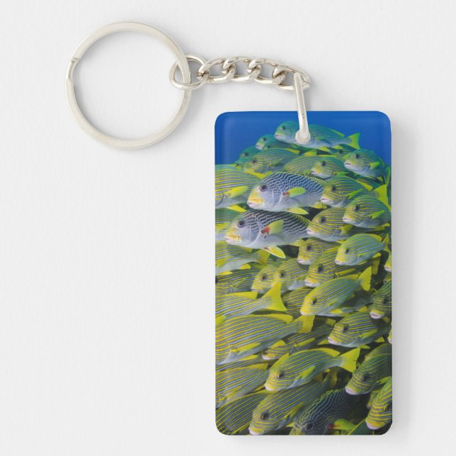 Indonesien. Fiskstim (Framsidan)
