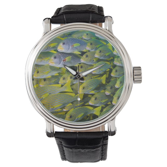 Indonesien. Fiskstim Armbandsur (Framsida)
