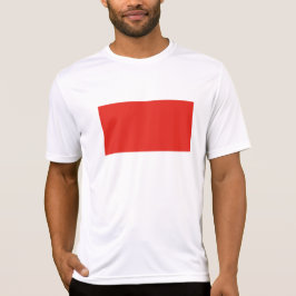 Indonesien flagga t shirt