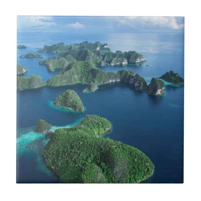 Indonesien, Väster Papua. Aeran Raja Ampat Kakelplatta (Framsidan)