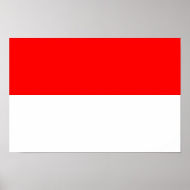 Indonesiens flagga poster (Framsidan)