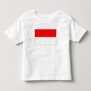 Indonesiens flagga t shirt