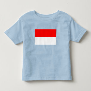 Indonesiens flagga t shirt
