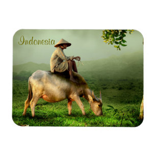 Indonesiens naturlandskap med Buffalo och Farmer Magnet