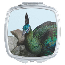 Indonesisk peacock stäng Cust. Compact Spegel Fick Spegel