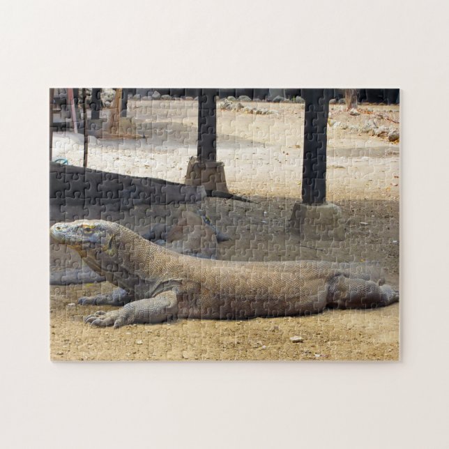 Indonesiska Komodo Dragon nationalpark. Pussel (Horisontell)