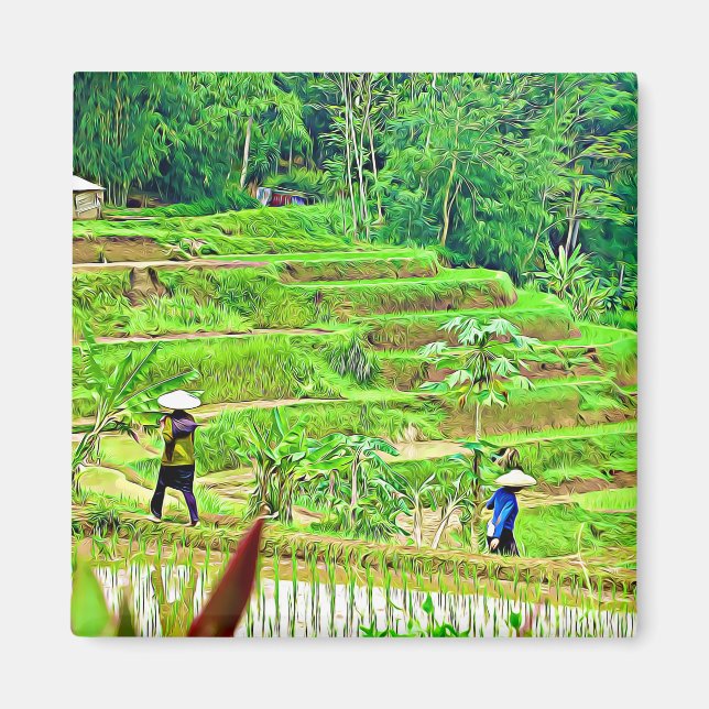Indonesiska Ris Fält Magnet (Framsidan)