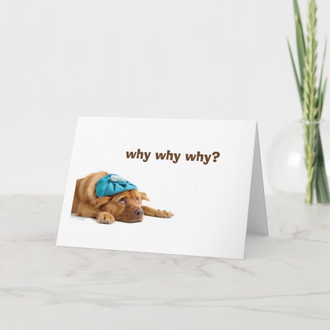 INEBRIERAD HUND CELEBRADES BIRTHDAY KORT (Framsida)