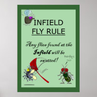 Infältflygregel