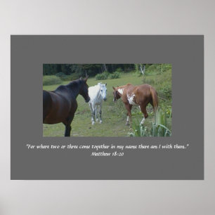 Infångad i Hans Namn Poster