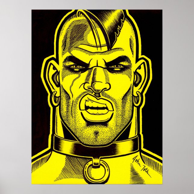 Infångad och samlad! poster (Framsidan)