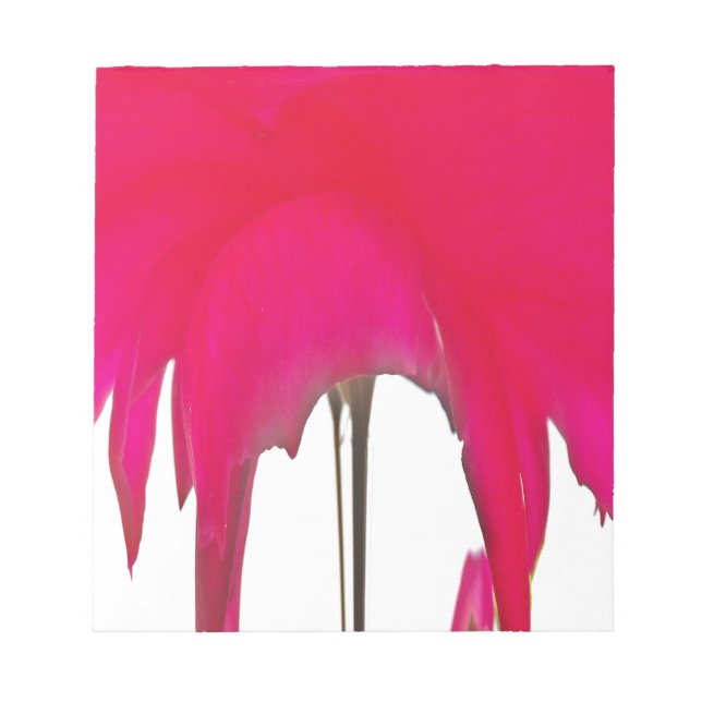 Infångad tid: en Röd ros Petal Elegance Anteckningsblock (Framsida)