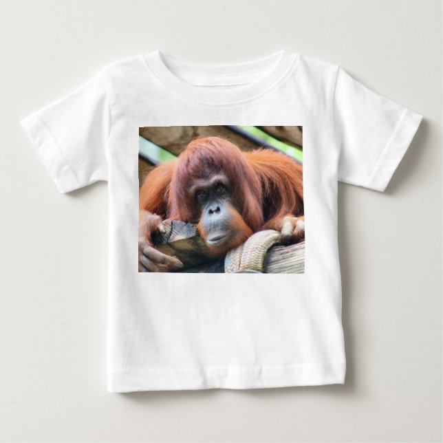 INFANTS ORANGATANG PRIMATE T-SHIRT (Framsida)
