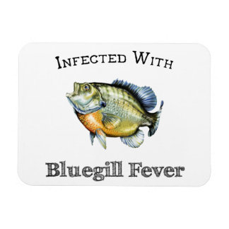 Infekterad med bläckfiskfeber magnet