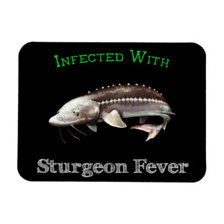 Infekterad med Sturgeonfeber Magnet