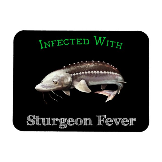 Infekterad med Sturgeonfeber Magnet (Horisontell)