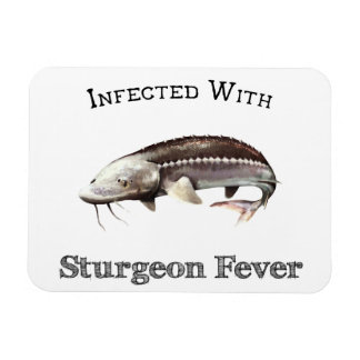 Infekterad med Sturgeonfeber Magnet