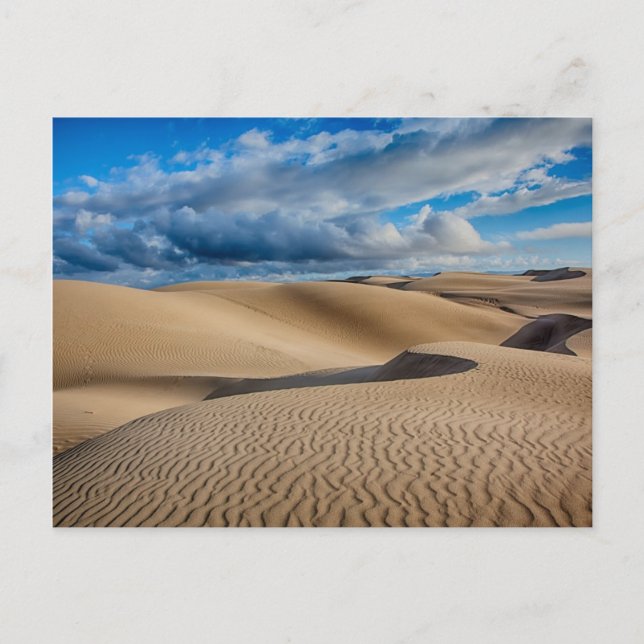 Infinite Dunes Vykort (Framsida)