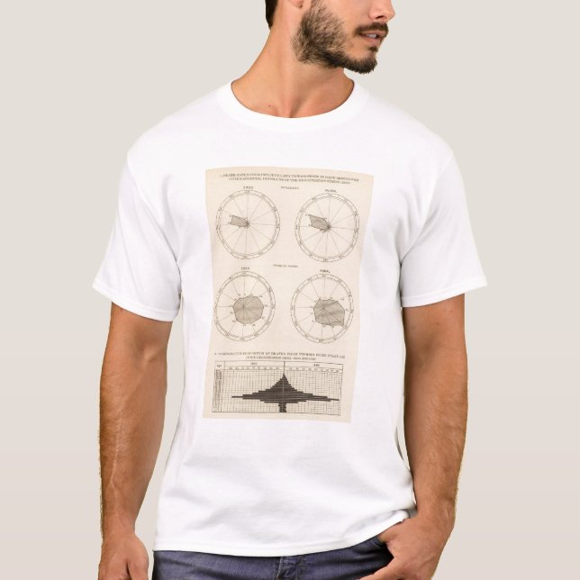 Influensa för 117 dödar, tyfusfeber 1900, 1890 t shirt (Framsida)