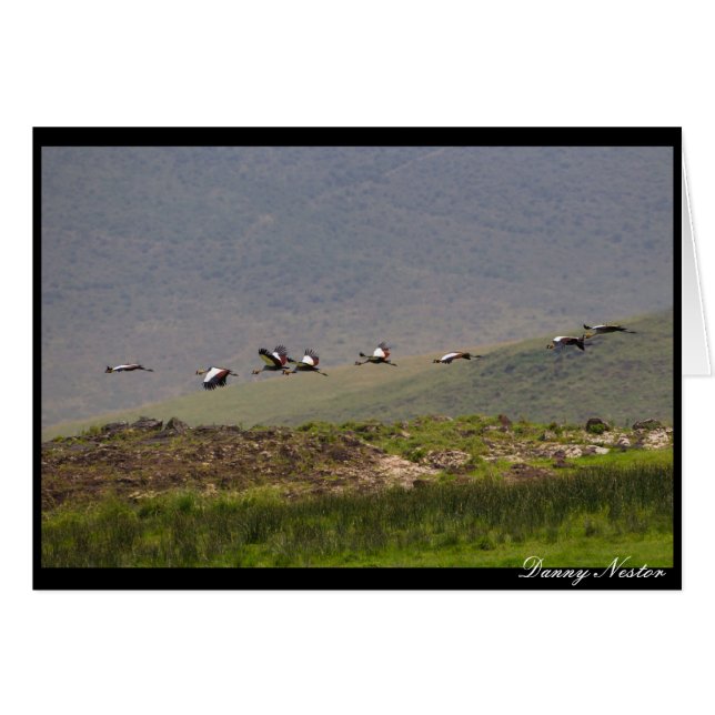 Inflygning Hälsningskort (Framsidan Horizontal)