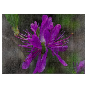 Infödd Azalea
