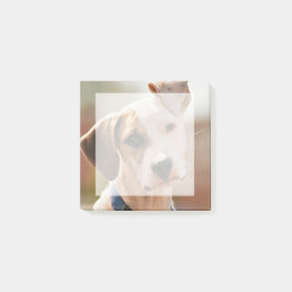 Infoga ett eget foto på matet - fyrkantigt post-it block