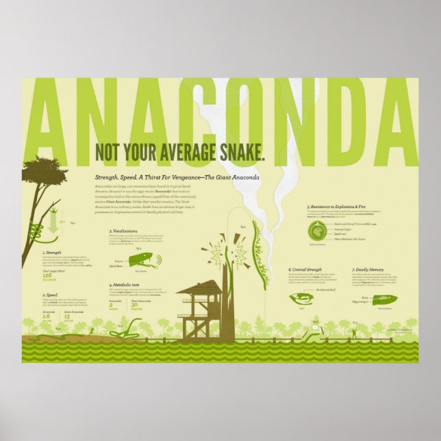 Infografik: Anaconda Poster (Framsidan)