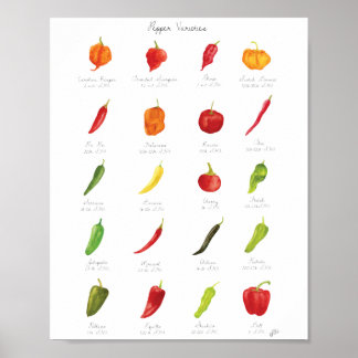 Infografik för vattenfärgspeppar poster