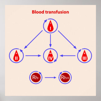 infografisk blodtransfusion poster