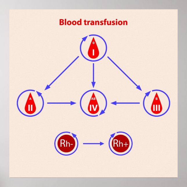 infografisk blodtransfusion poster (Framsidan)